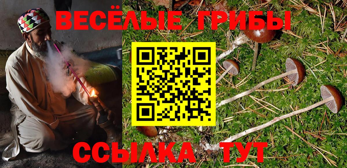 Михайловск  Псилоцибиновые грибы мухоморы  Вход с VPN 